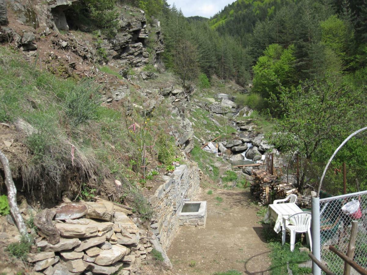 Hotel Deyanira Gorno Dryanovo Dış mekan fotoğraf