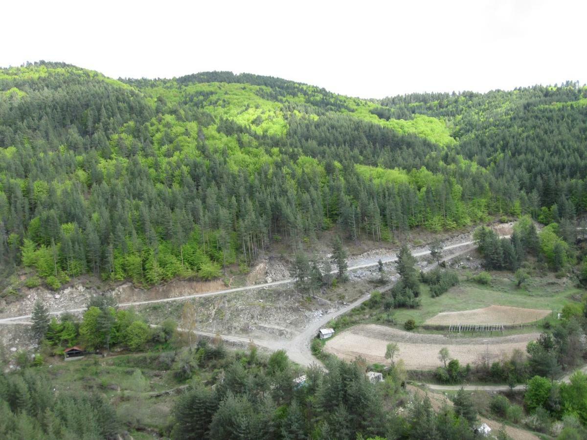 Hotel Deyanira Gorno Dryanovo Dış mekan fotoğraf