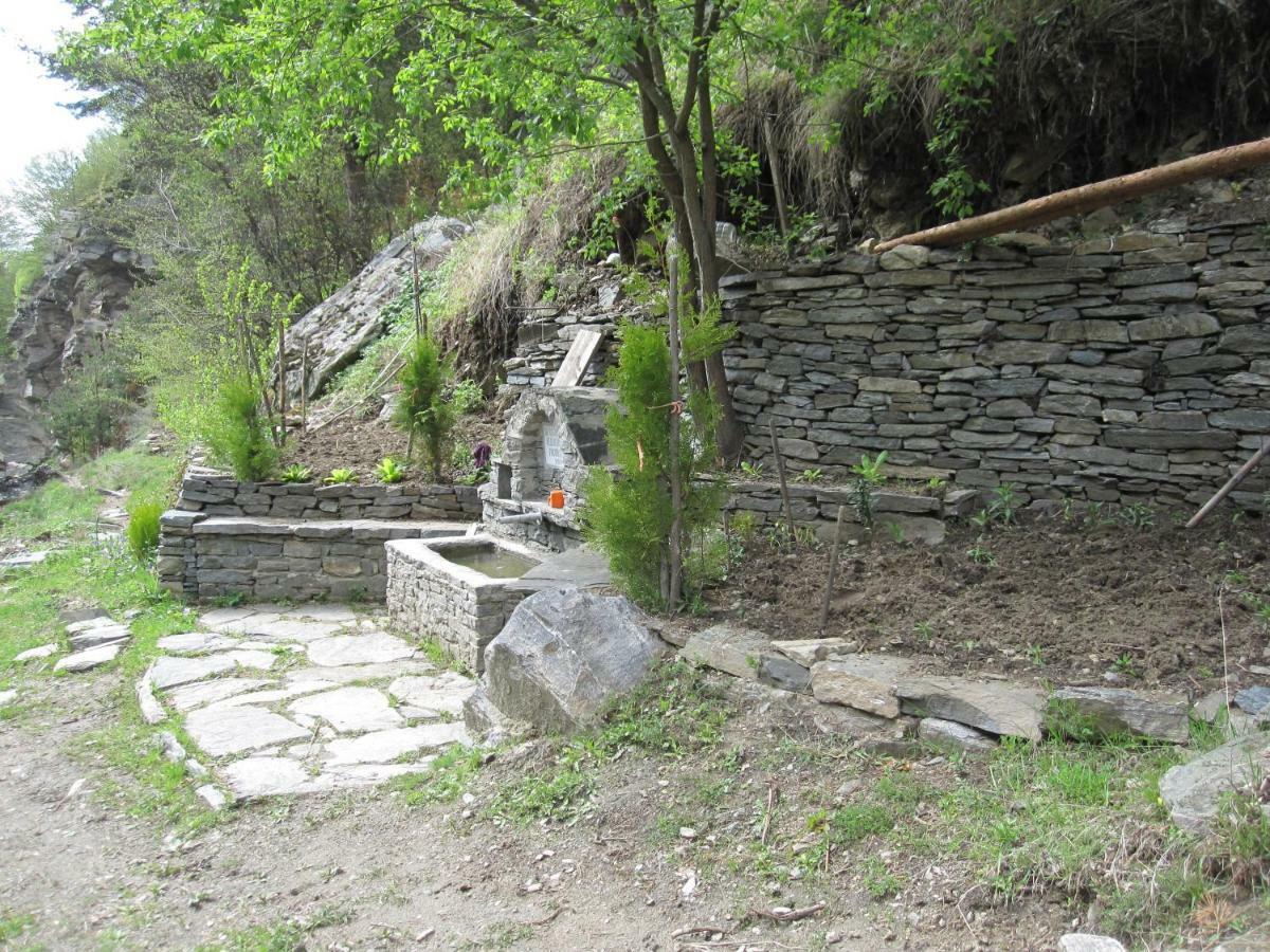 Hotel Deyanira Gorno Dryanovo Dış mekan fotoğraf
