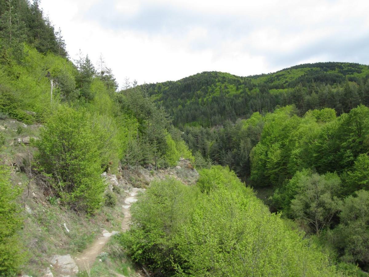 Hotel Deyanira Gorno Dryanovo Dış mekan fotoğraf