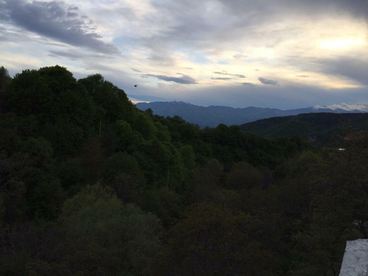 Hotel Deyanira Gorno Dryanovo Dış mekan fotoğraf